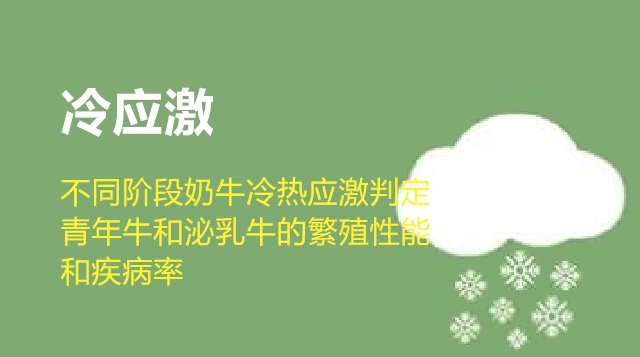 第09节 不同阶段奶牛冷热应激判定：2、青年牛和泌乳牛的繁殖性能和疾病率-徐明